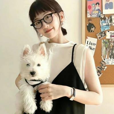 吉普车中的四人